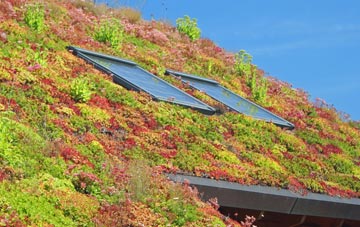 Yatton Keynell living roof systems