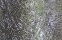 Yatton Keynell fibreglass roof work